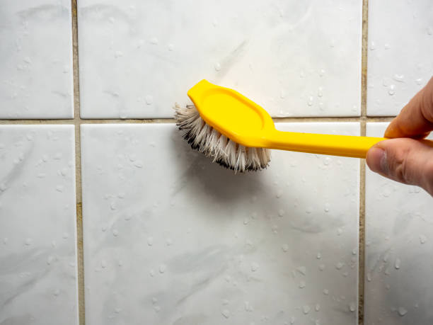 Best Certified Mold Removal  in Fair Oaks, VA