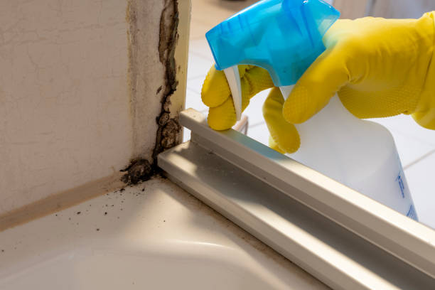 Best Fast Mold Removal  in Fair Oaks, VA