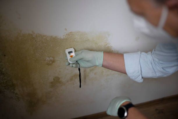 Certified Mold Removal in Fair Oaks, VA